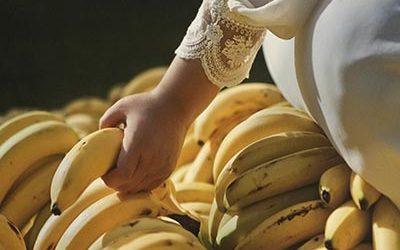 Food of War oficializa su presencia en Londres con “The Forbidden Journey”